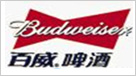 百威啤酒